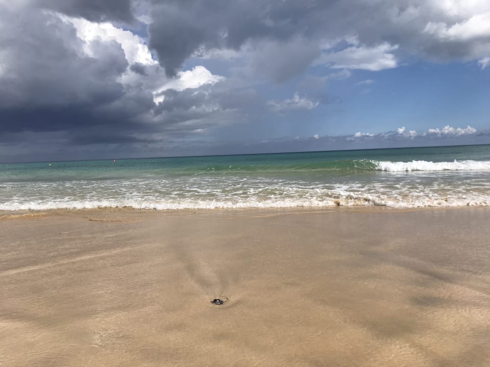 Strand Iberostar Selection Fuerteventura Palace