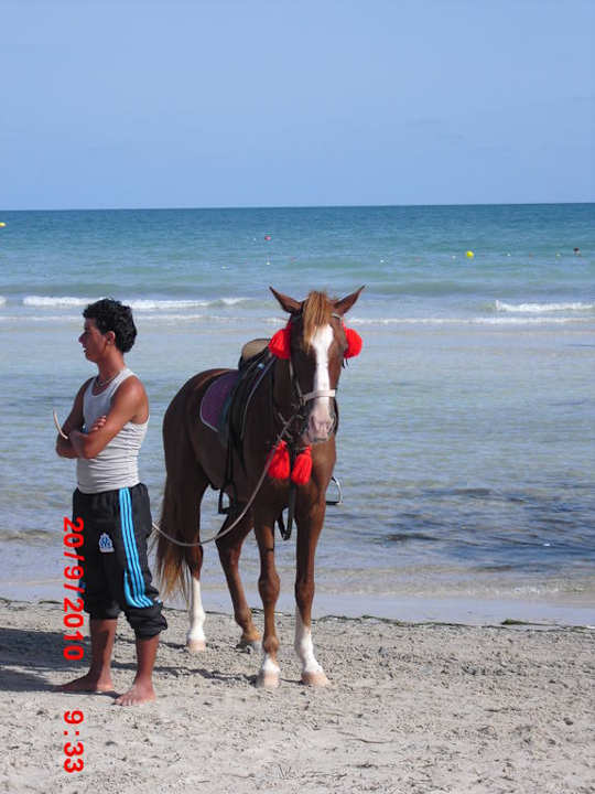 Strandangebote Djerba Sun Beach Hotel & Spa