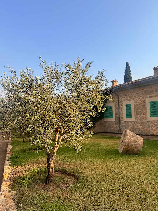 Gartenanlage Sa Cabana Hotel Rural & Spa - Adults only