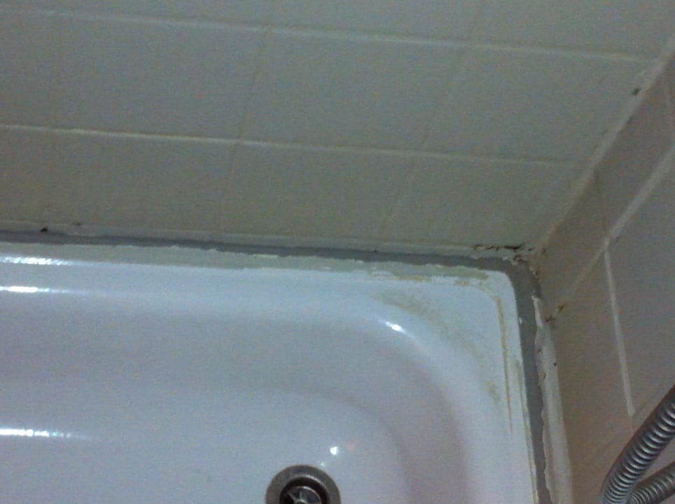 Ekelbad die Zweite Hotel Ahl Meerkatzen