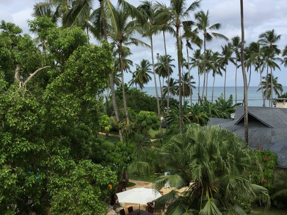 Super Ausblick Hotel Alisei