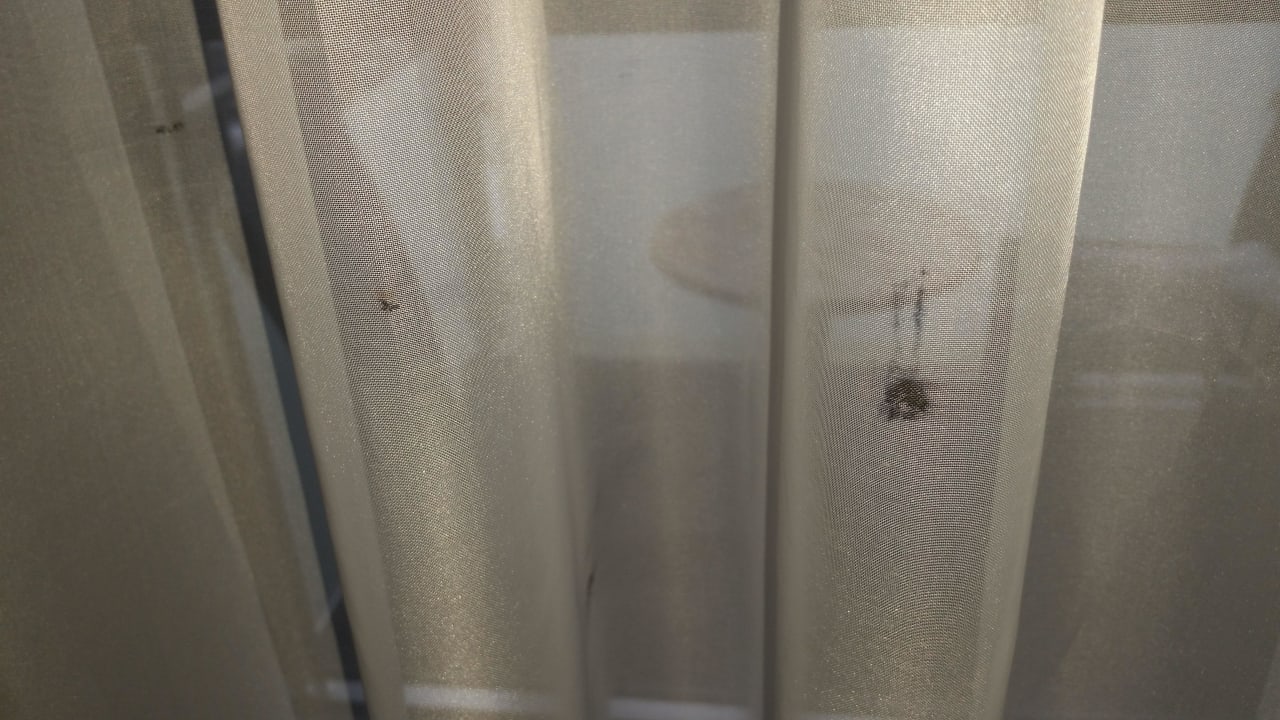 Vorhang City Hotel Roding