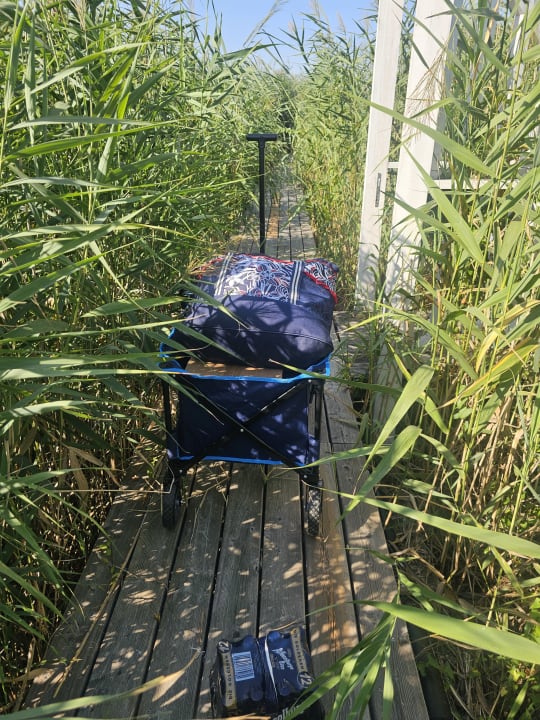 Sonstiges Seehütte Neusiedlersee - Urlaub am Wasser - Seehütte Sonnendeck