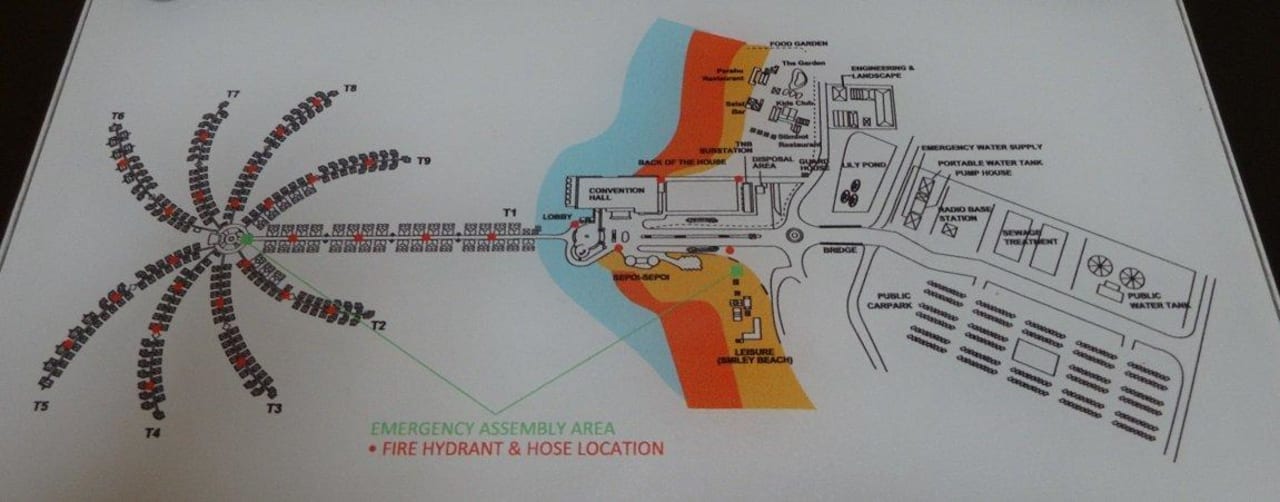 Palm Tree, 9 trunks T1-T9 AVANI Sepang Goldcoast Resort