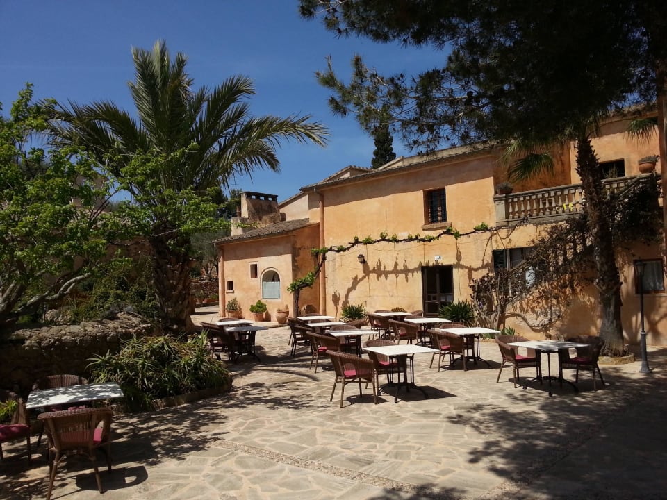 Frühstück im Freien wer mag Hotel Sa Galera