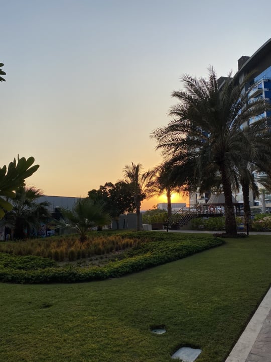 Gartenanlage Dukes The Palm Dubai Hotel