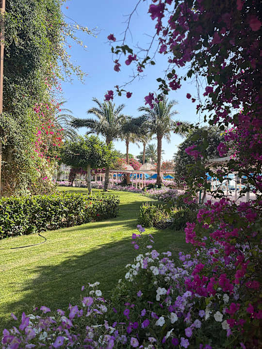 Gartenanlage Desert Rose