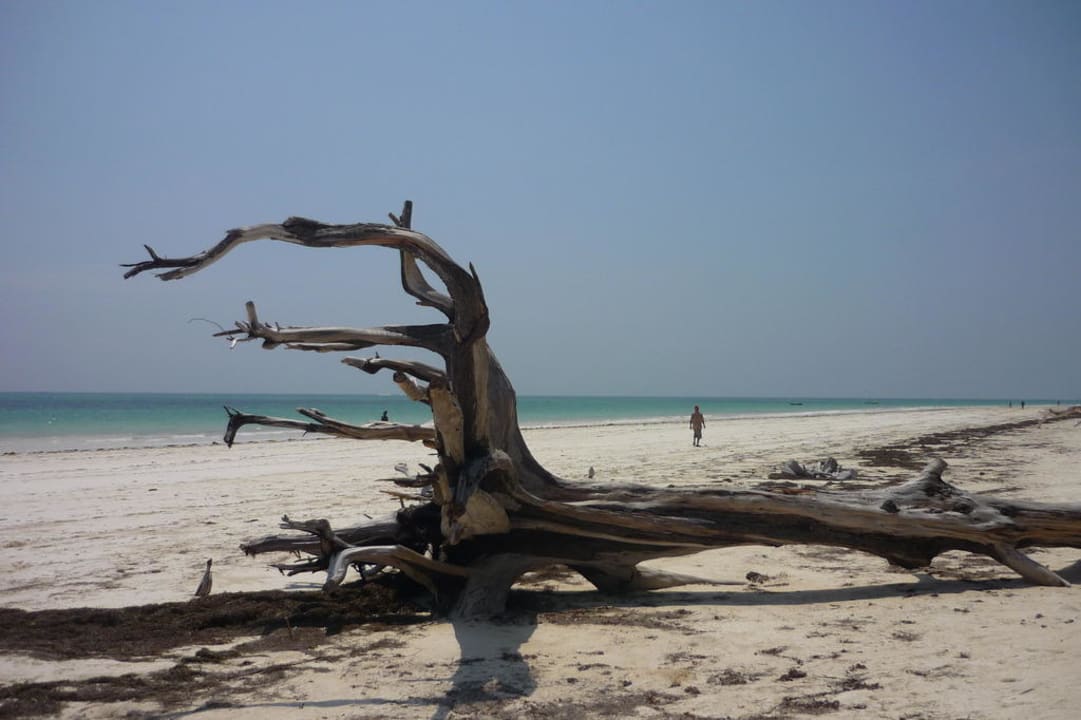 Natur am Galu Beach Neptune Village Beach Resort & Spa