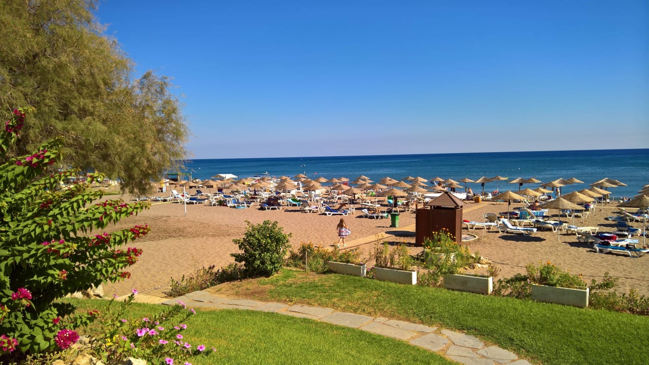 Hoteeigener Strand Hotel Calypso Beach