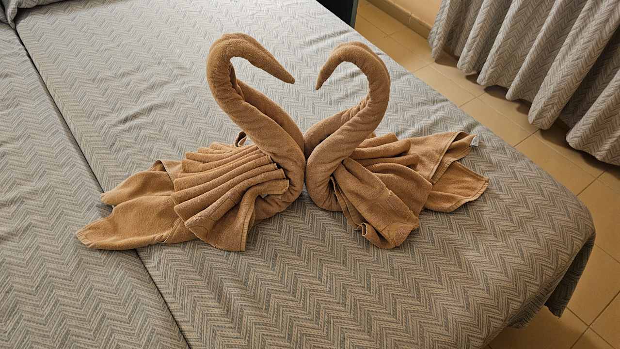 Zimmer SBH Costa Calma Beach Resort