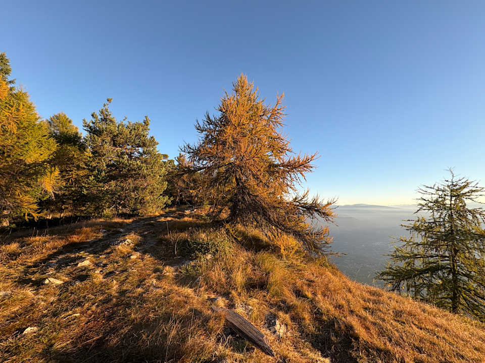 Sonstiges Panoramahotel Penegal