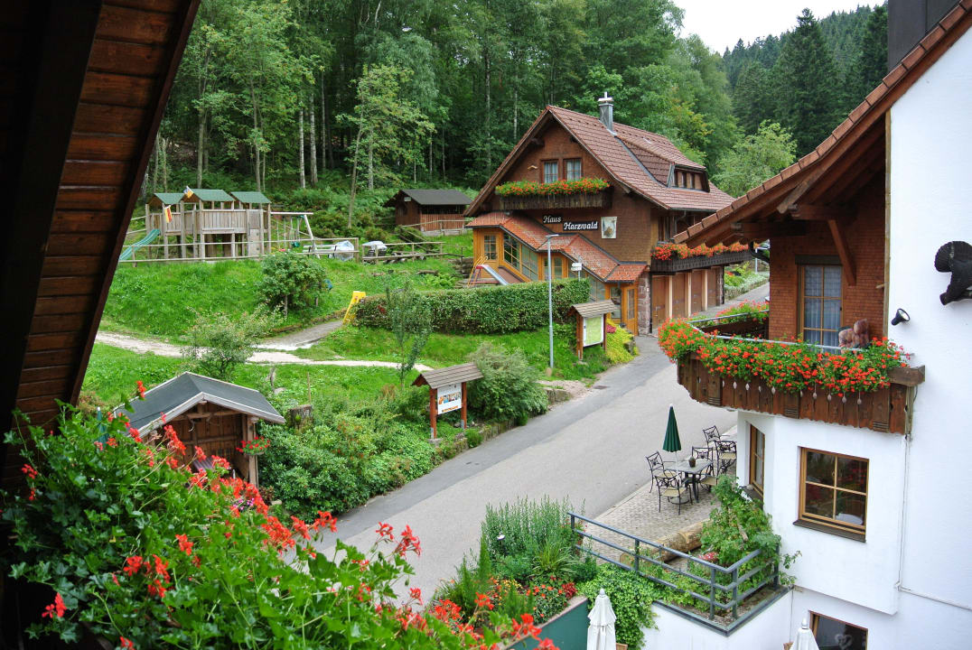 Ausblick ZImmer 23 Wellnesshotel Forsthaus Auerhahn