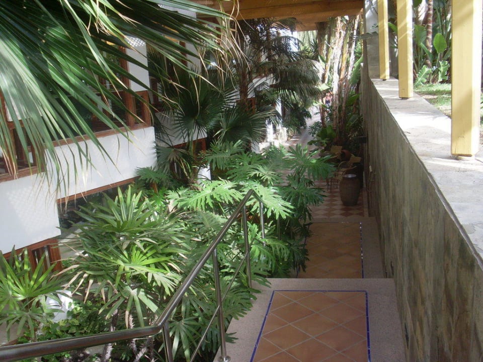 Eingang Corallium Beach by Lopesan Hotels - Adults only