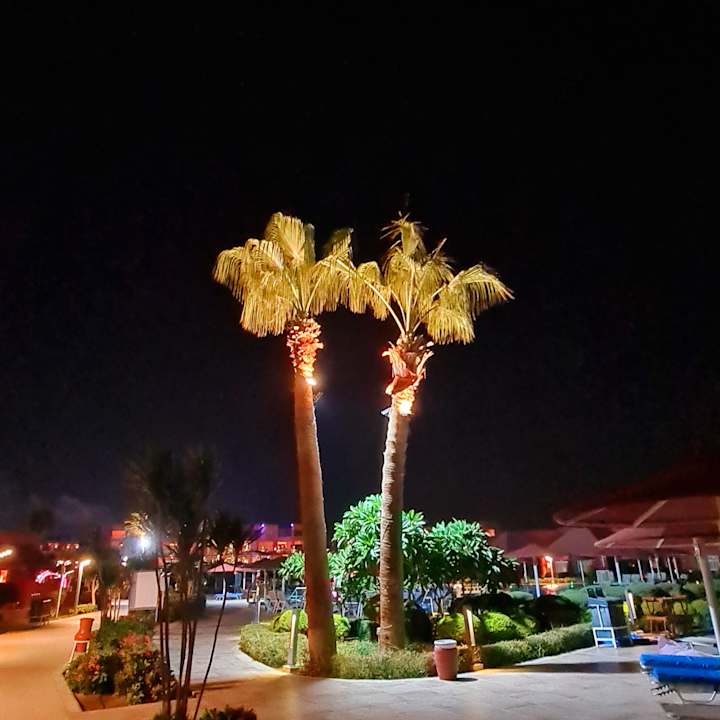 Gartenanlage Pickalbatros Laguna Vista Hotel