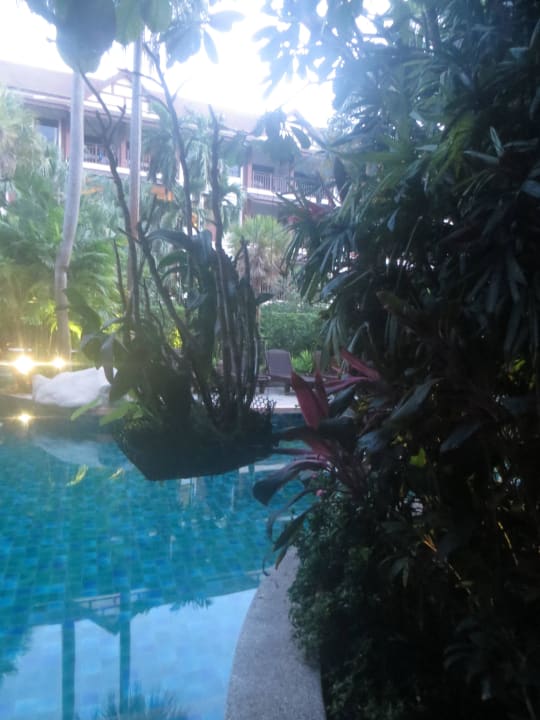 Regentag am Pool Kata Palm Resort & Spa