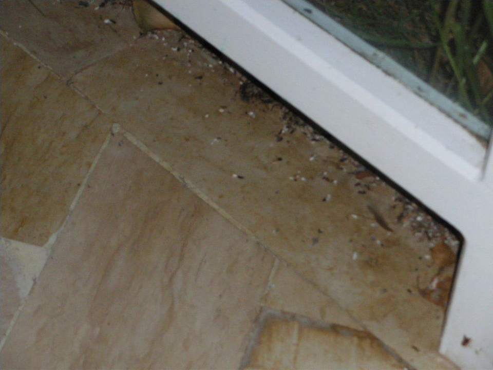 Restaurant Mahdia Beach & Aquapark