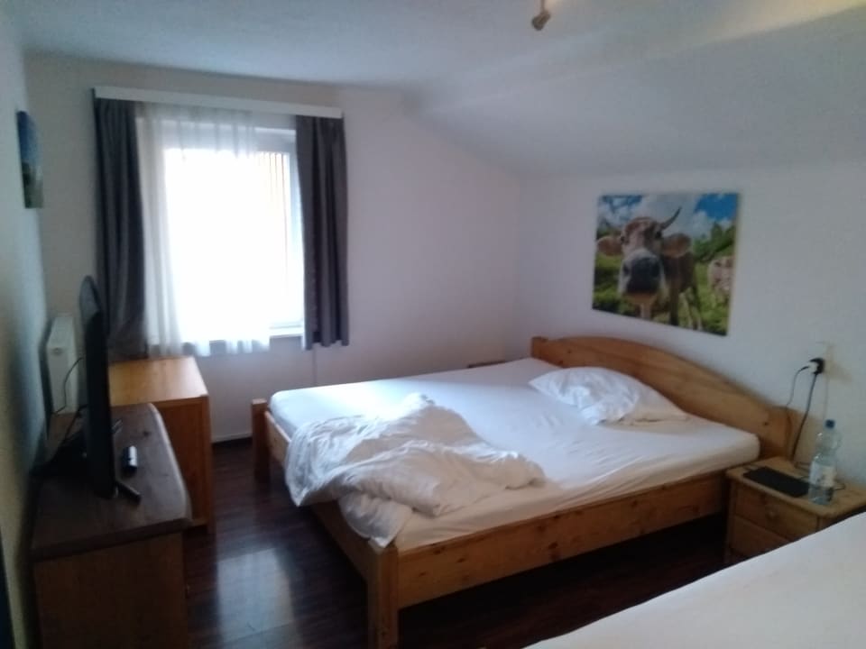 Zimmer Hotel Wildschütz