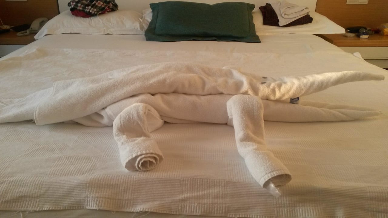 Ein Handtuch-Krokodil Ladonia Hotels Adakule