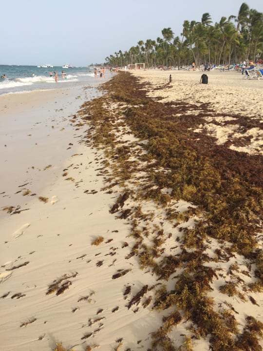 Strand Hotel Riu Bambu