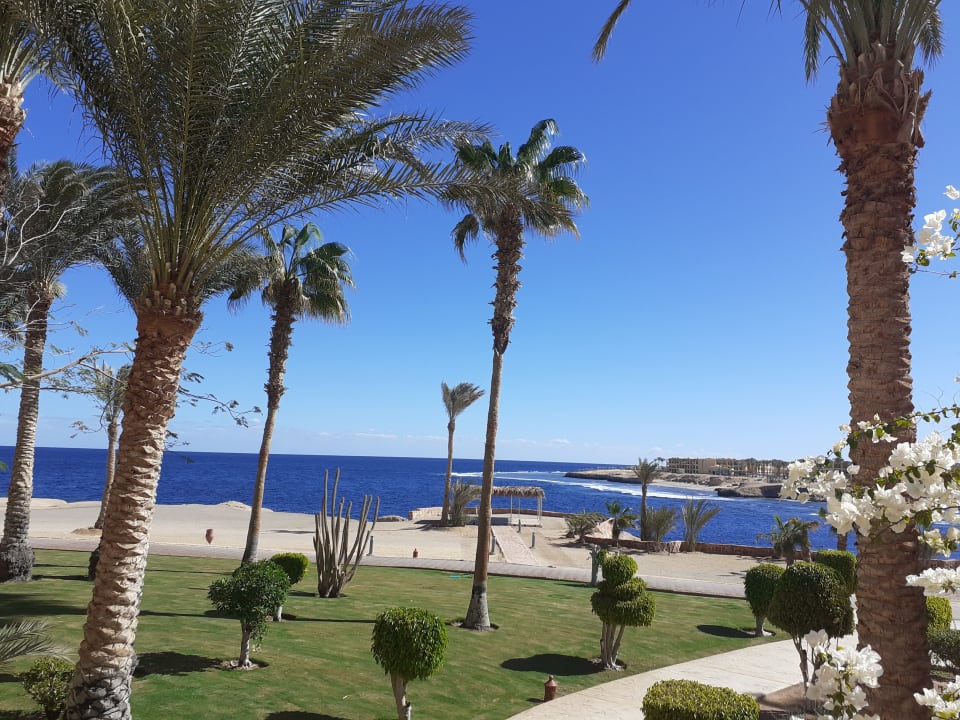 Außenansicht Steigenberger Coraya Beach - Adults only