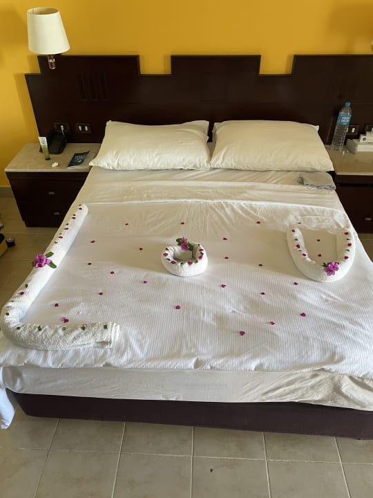 Zimmer Coral Sun Beach