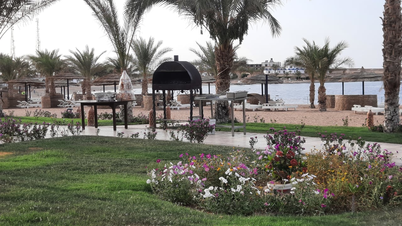 Gartenanlage Coral Sun Beach