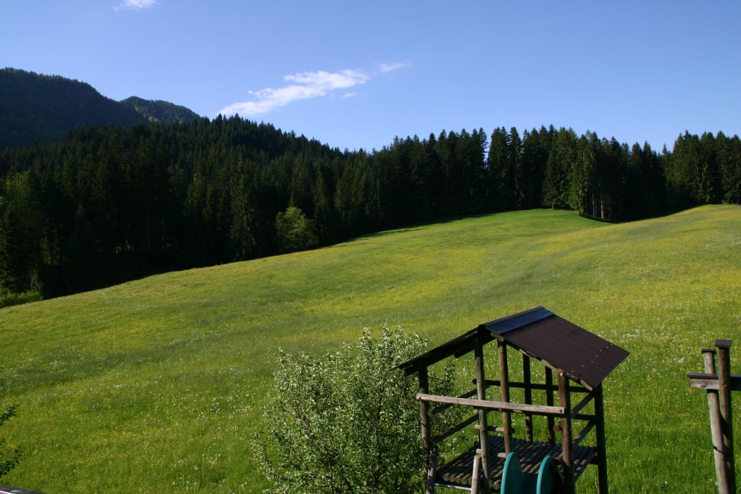 Blick zum Waldrand Bio-Bauernhof Oberhochstätt
