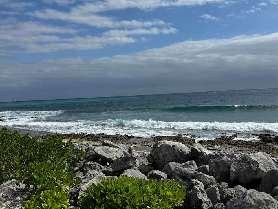 Pool TRS Yucatan Hotel - Adults only