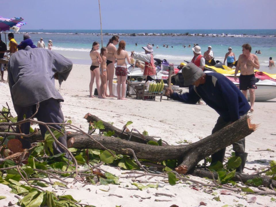 Baumfällarbeiten am Hotel-Strand Hotel Baan Chaweng Beach Resort & Spa