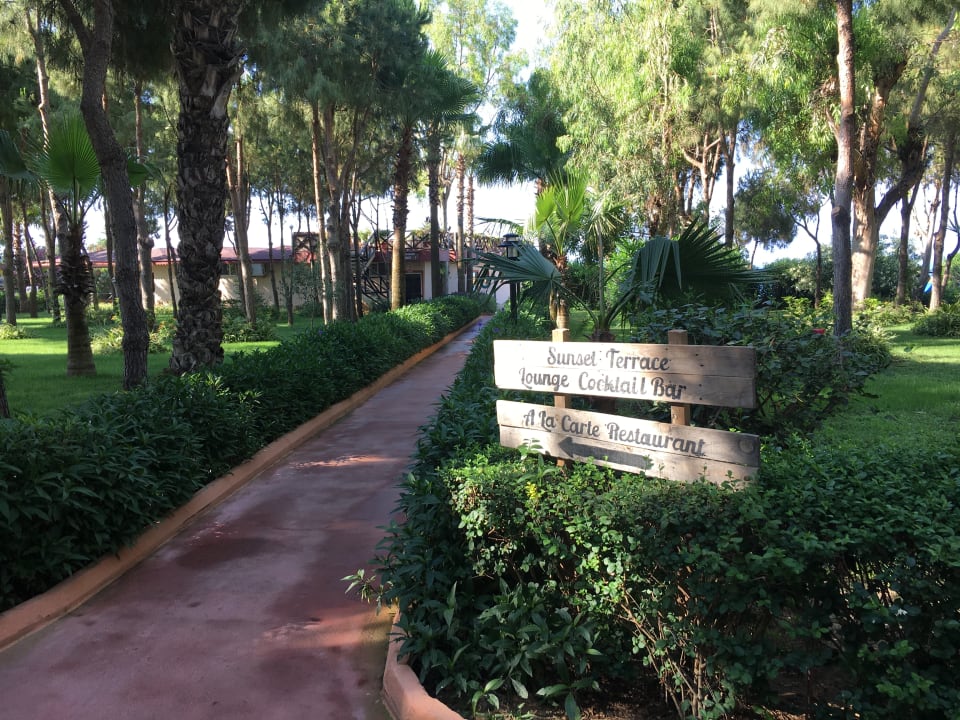 Gartenanlage Club Turtas Beach Hotel