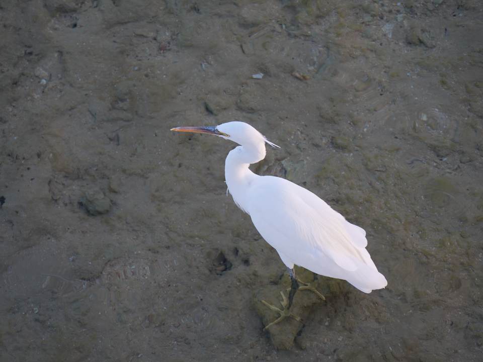 Sonstiges Stella Beach Resort & Spa Makadi Bay