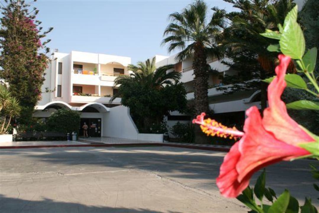Eingang Außen Hotel Tigaki Beach