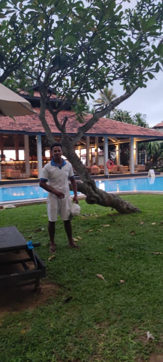 Pool Club Hotel Dolphin