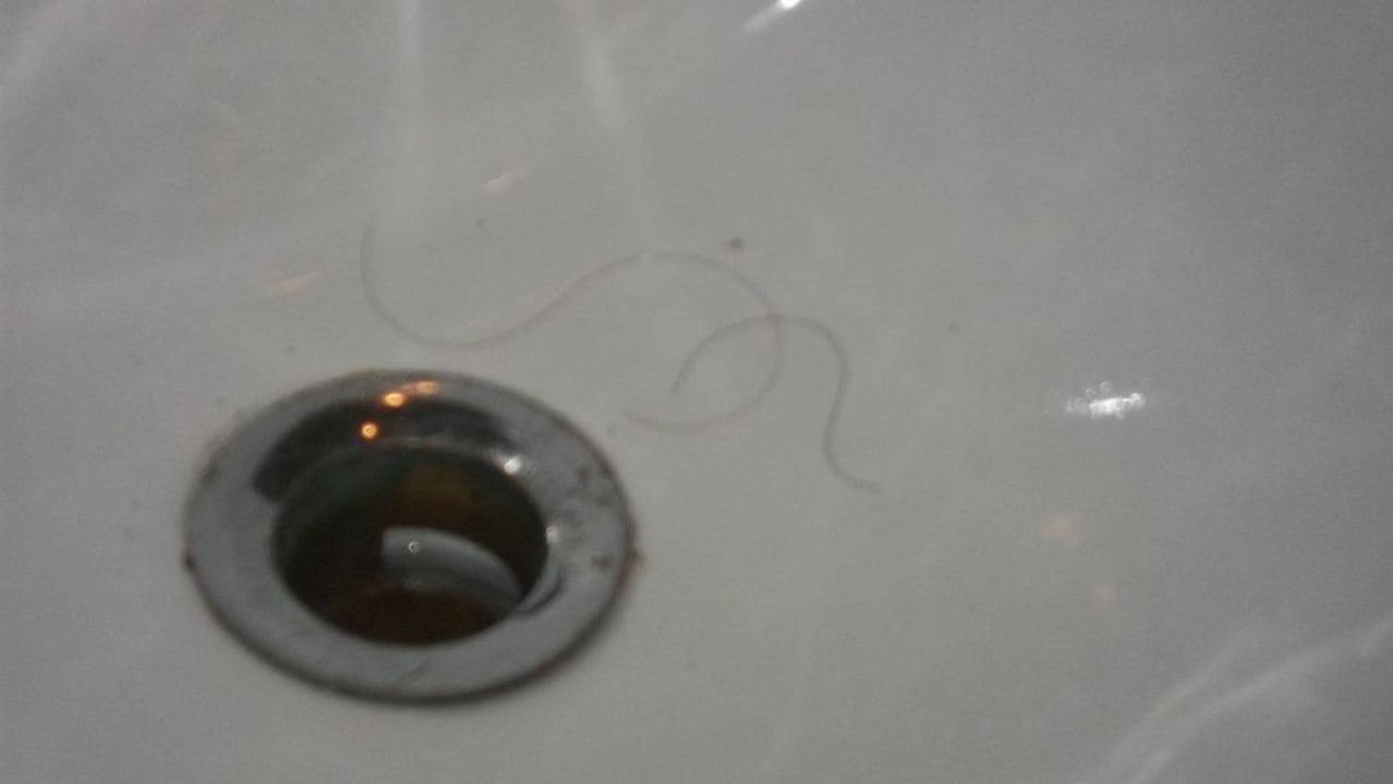 Haare vom Vorgänger im Waschbecken Hotel Houria Palace