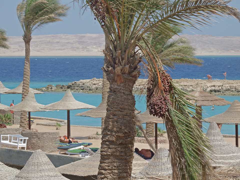 Die blauen Farben des Meeres Arabia Azur Resort