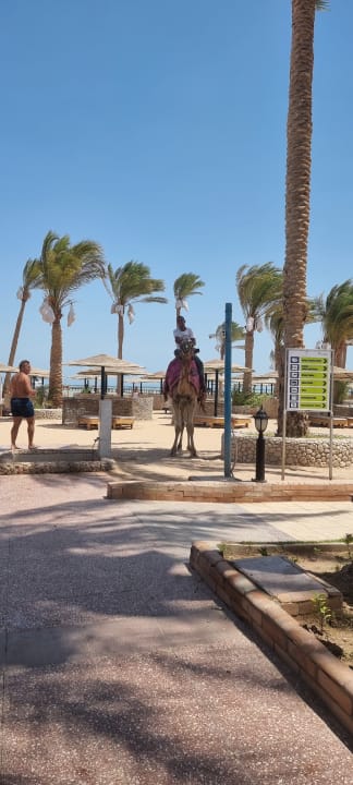 Strand Golden Beach Resort