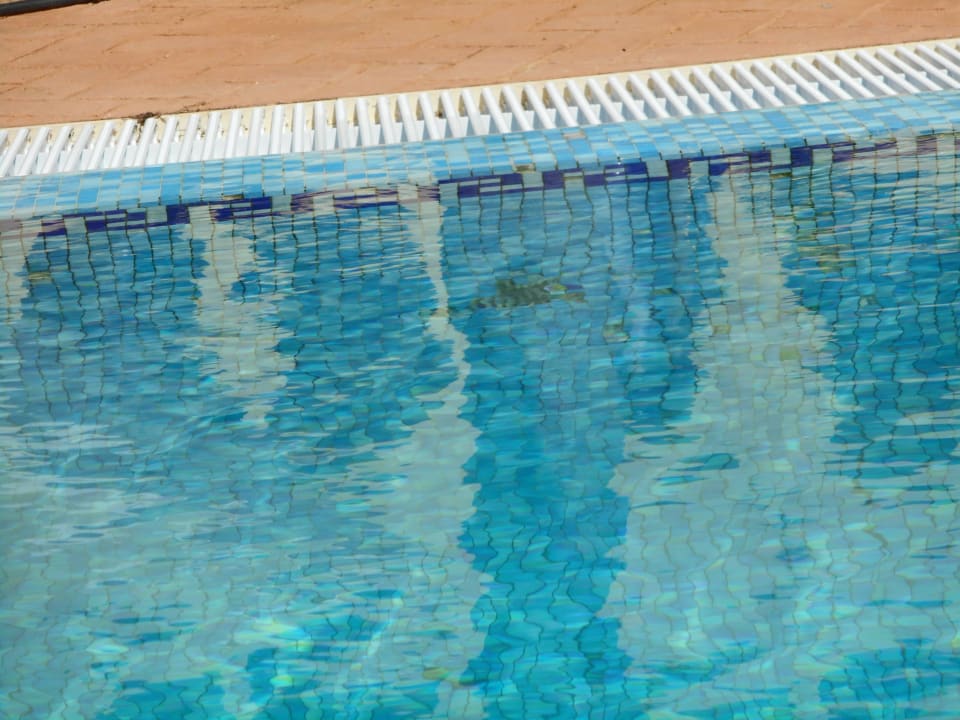 Pool mit Sand und fehlenden/kaputten Platten Playamarina Hotel