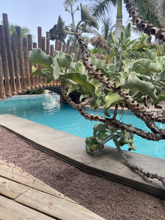 Pool Lopesan Baobab Resort