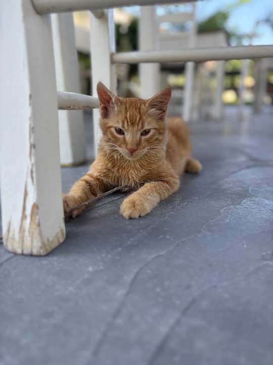 Außenansicht Matala Bay Hotel & Apartments