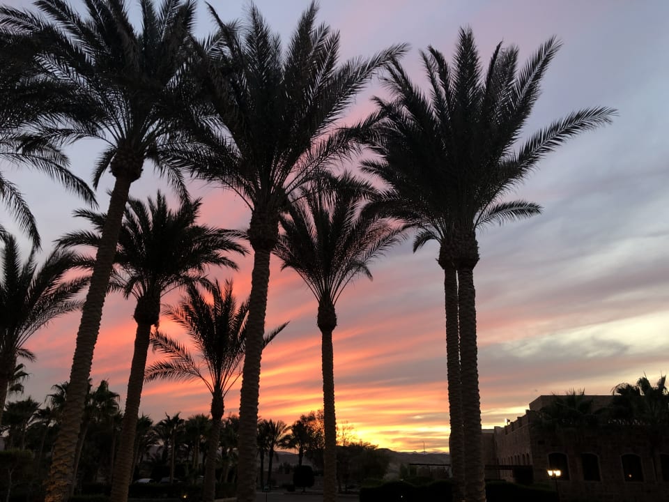 Ausblick Mövenpick Resort El Quseir