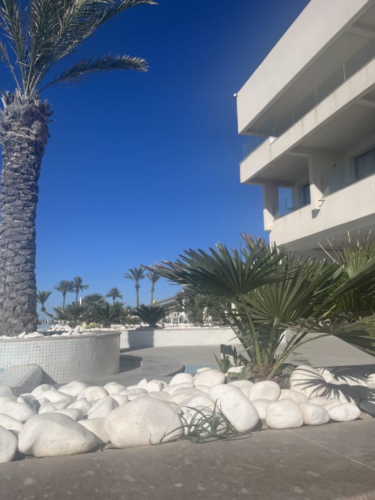 Gartenanlage Iberostar Selection Kuriat Palace