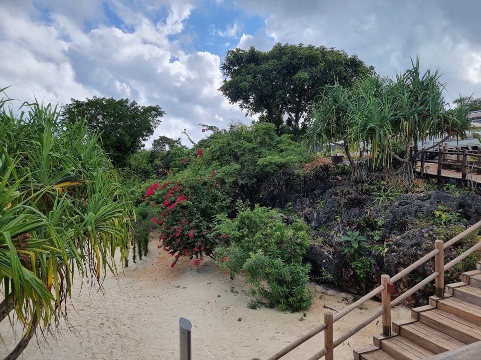 Gartenanlage Hotel Riu Jambo