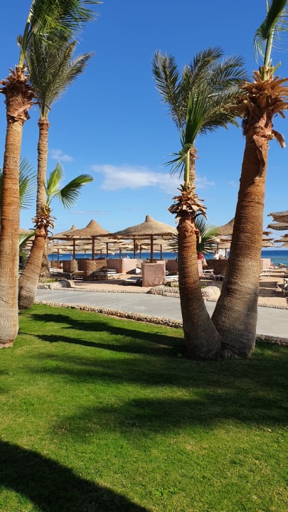 Strand Jaz Makadi Oasis Resort