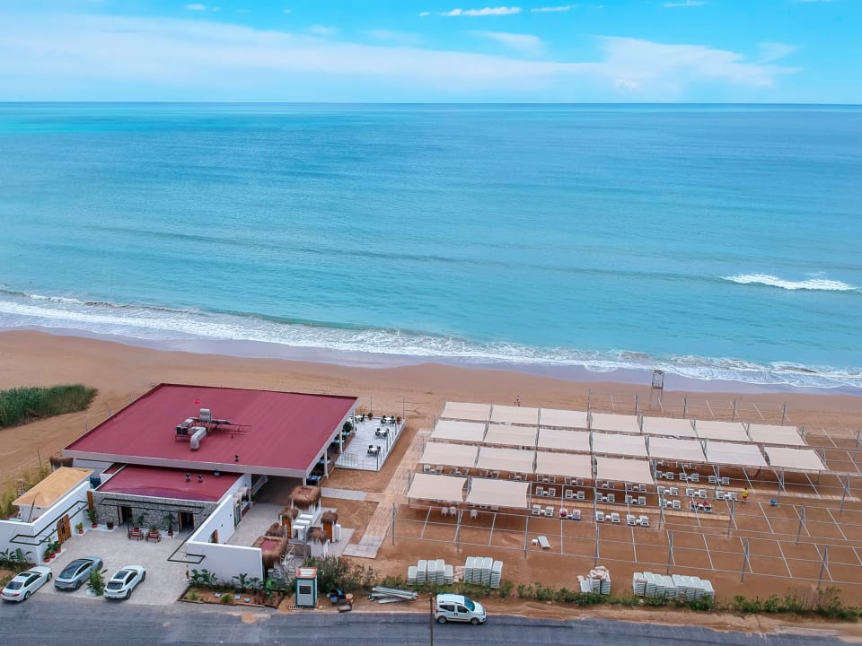 Strand Seashell Vega