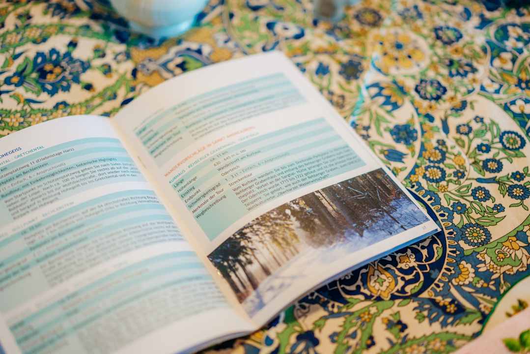 Zimmer Schwalbenherd FeWo Bergschwalbe