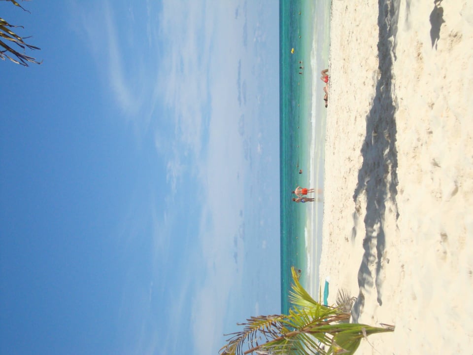 Hotel Catalonia Playa Maroma Catalonia Playa Maroma