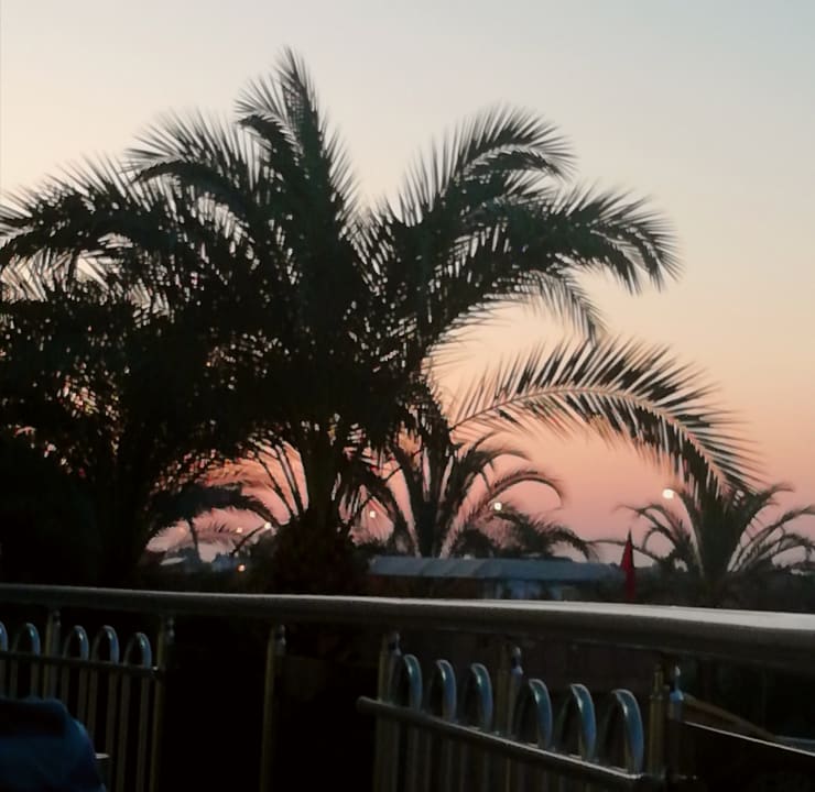 Ausblick FUN&SUN Smart Hane Sun Hotel