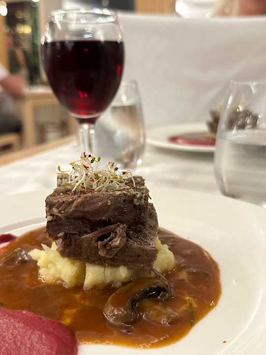 Gastro Seashell Vega