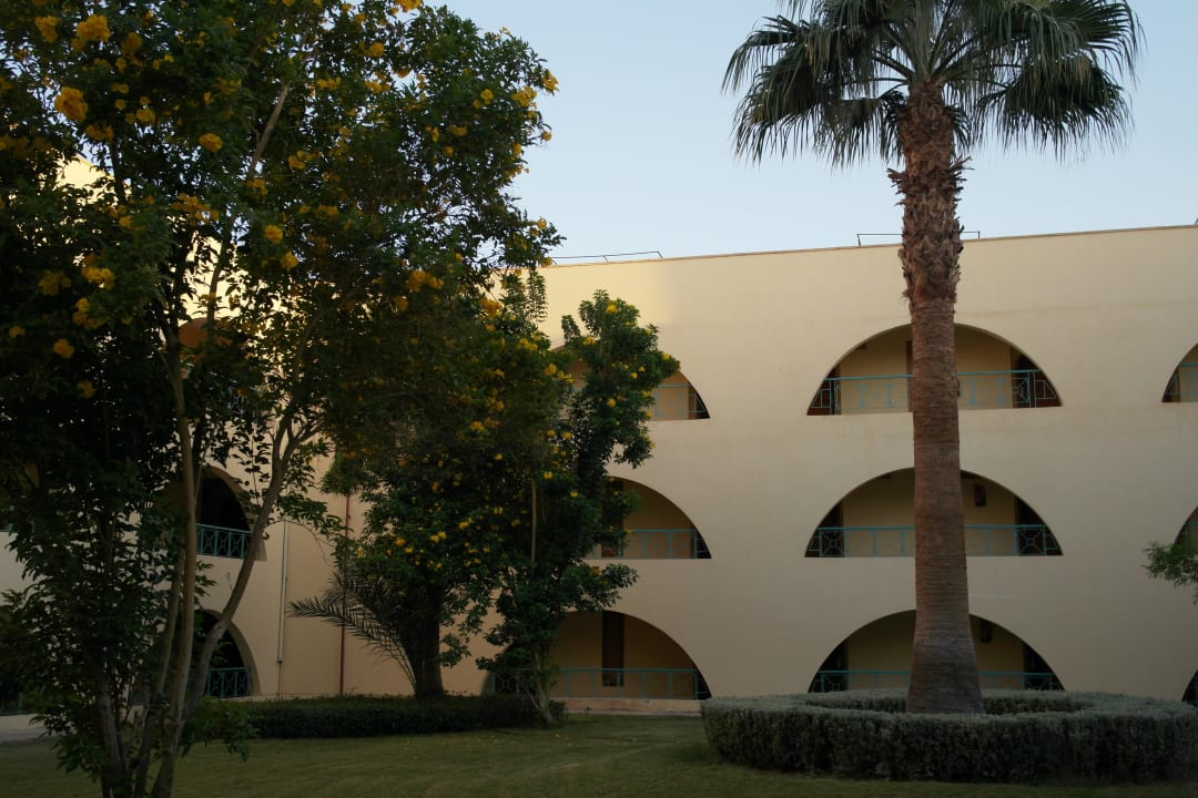 Дворик отеля Desert Rose