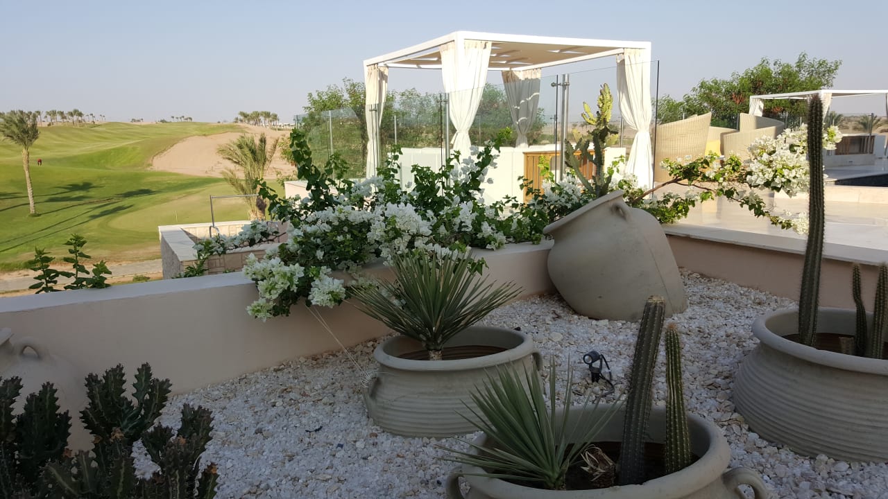 Gartenanlage Steigenberger Makadi Hotel - Adults only